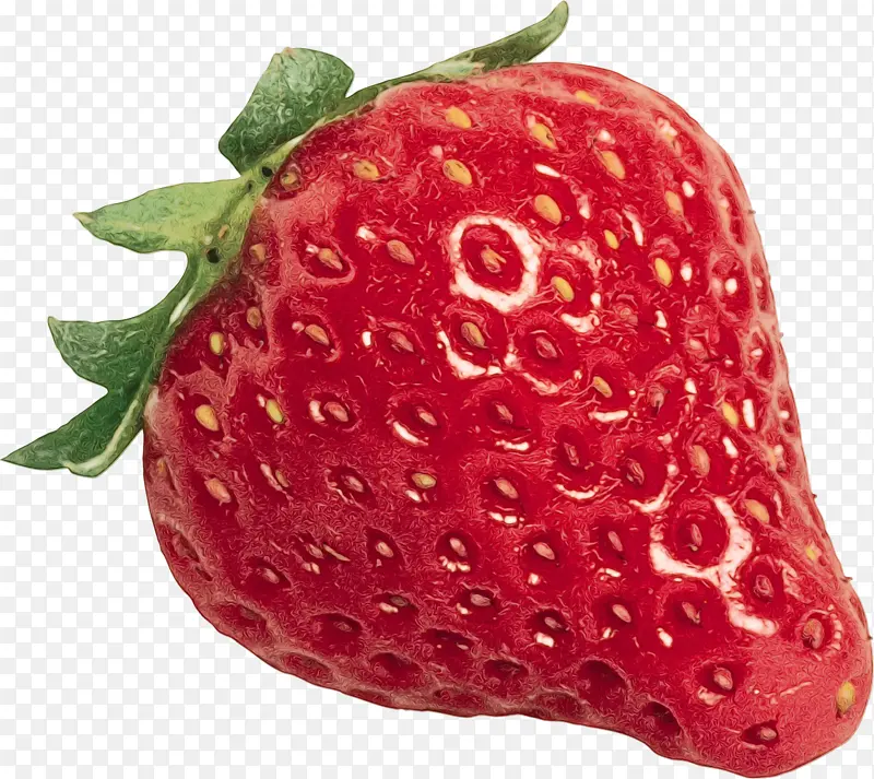 草莓 浆果 食品