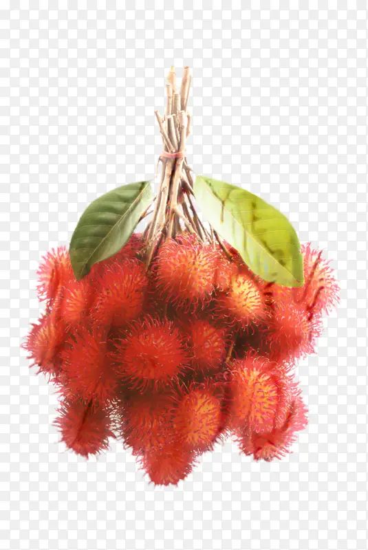 红毛丹 红色 植物