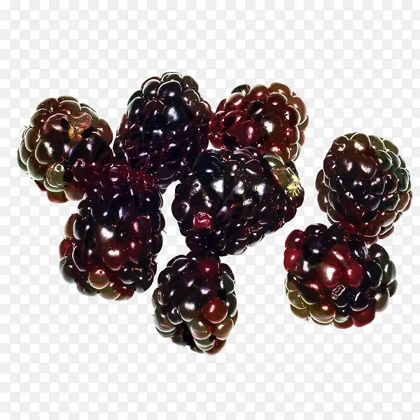 浆果 珠子 水果