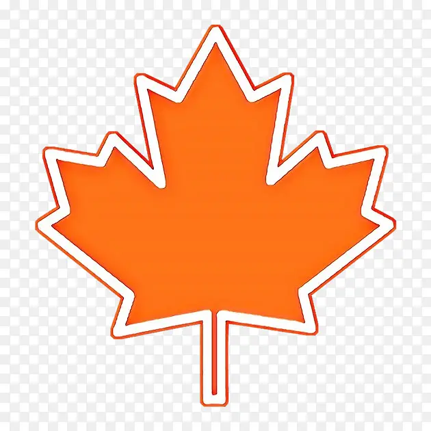 加拿大国家男子曲棍球队 加拿大 国家曲棍球联盟