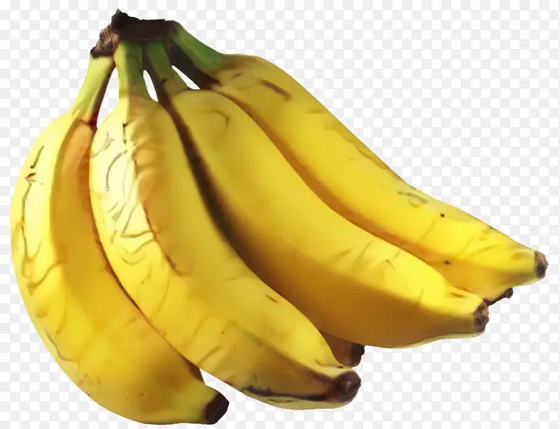 卡文迪什香蕉 香蕉 食品