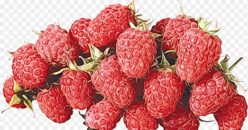 草莓 罗根莓 食品