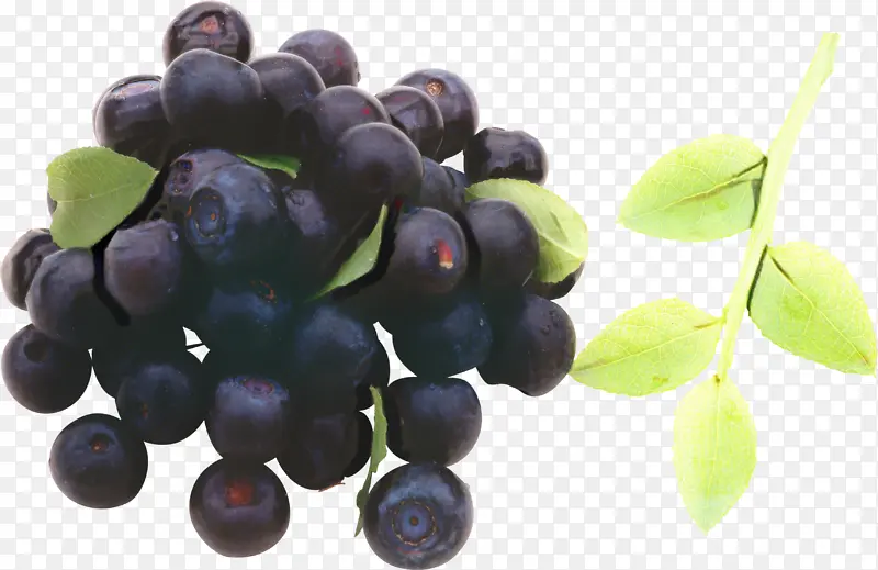 葡萄 桑特醋栗 蓝莓