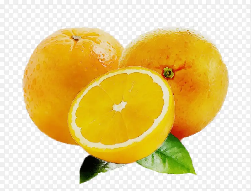 橙子 克莱门汀 柠檬