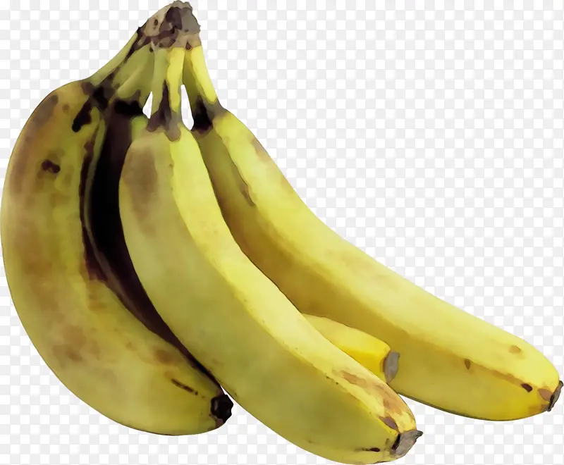 萨巴香蕉 烹饪香蕉 香蕉
