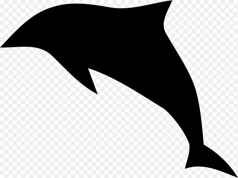 海豚 喙 黑白