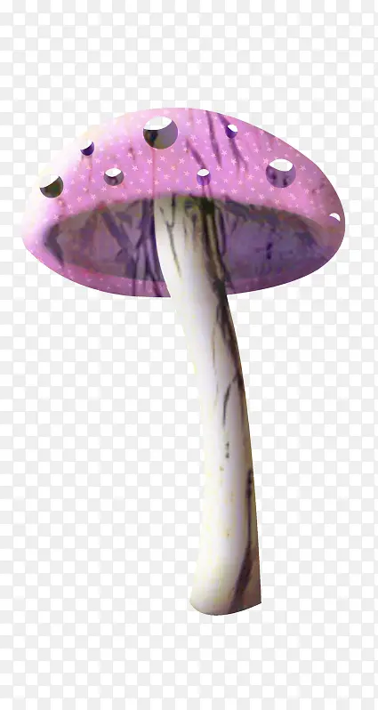 紫色 蘑菇色 珠宝色