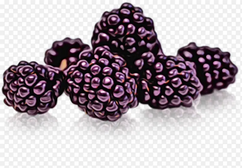 黑莓 干果 水果