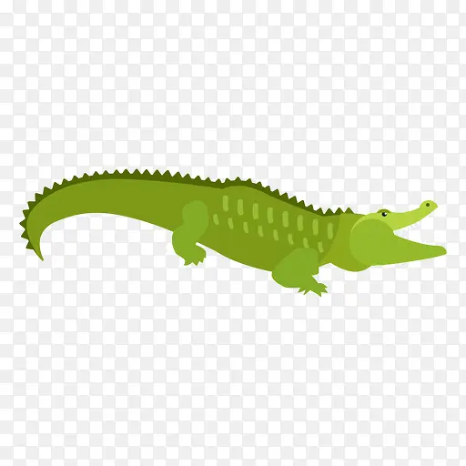 鳄鱼 绘画 绿色