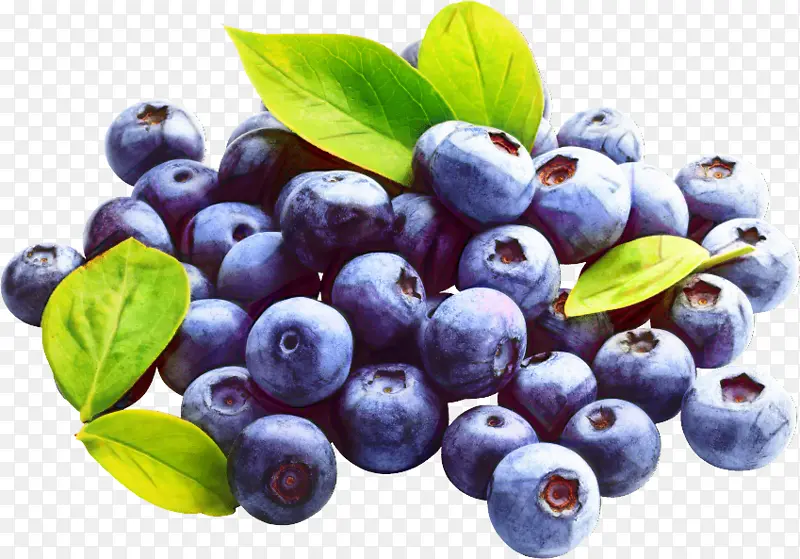 蓝莓 食品 浆果