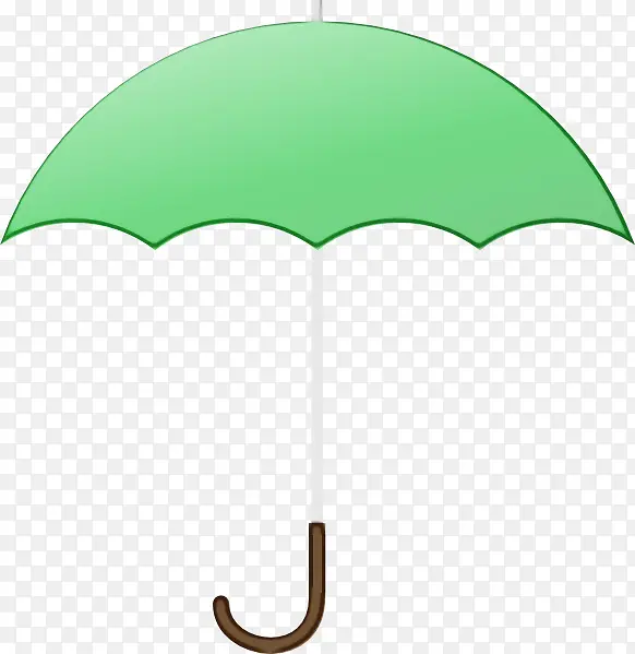 雨伞 绿色 叶子
