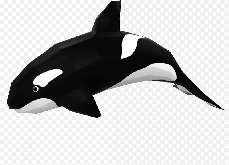 白嘴海豚 鲨鱼 虎鲸