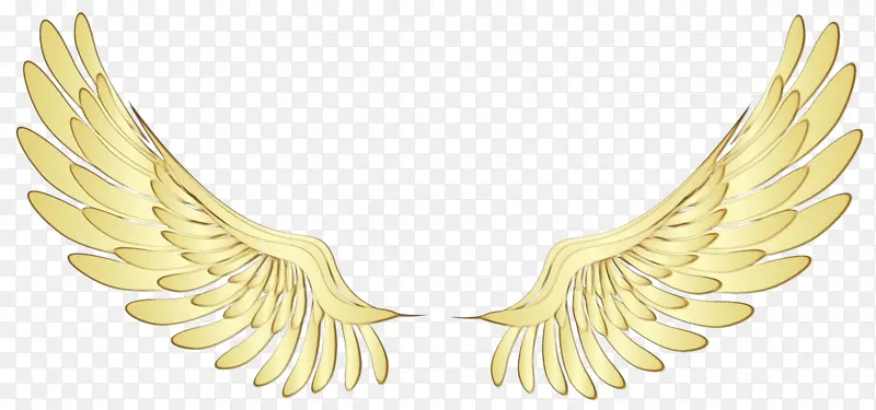 天使 素描 翅膀