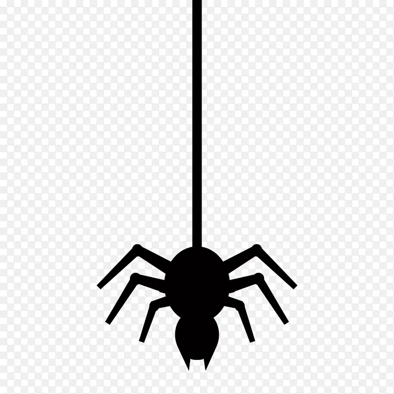 蜘蛛 蜘蛛网 黑蜘蛛