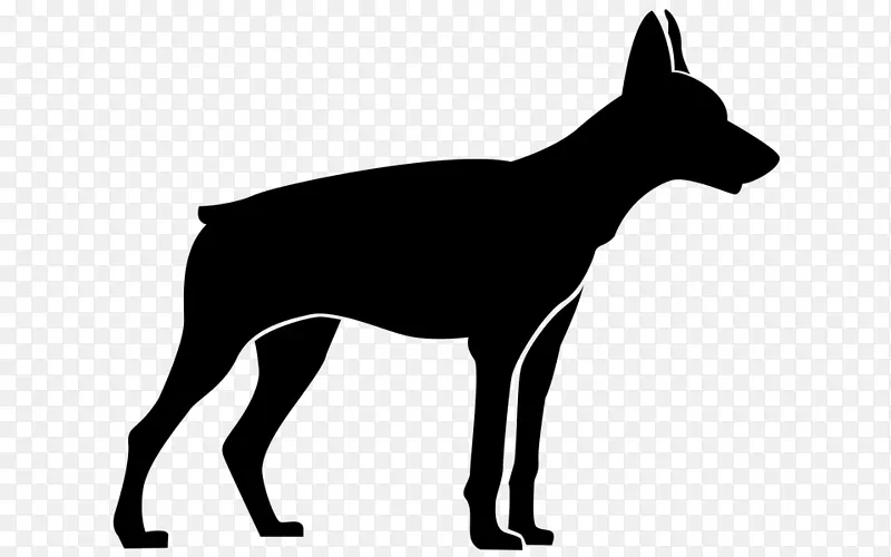 罗得西亚脊背犬 小狗 标志