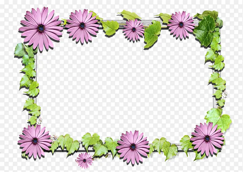 相框 花卉设计 花朵