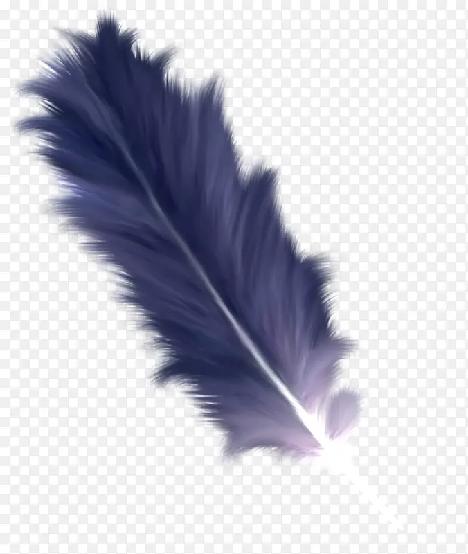 羽毛 蓝色 紫色