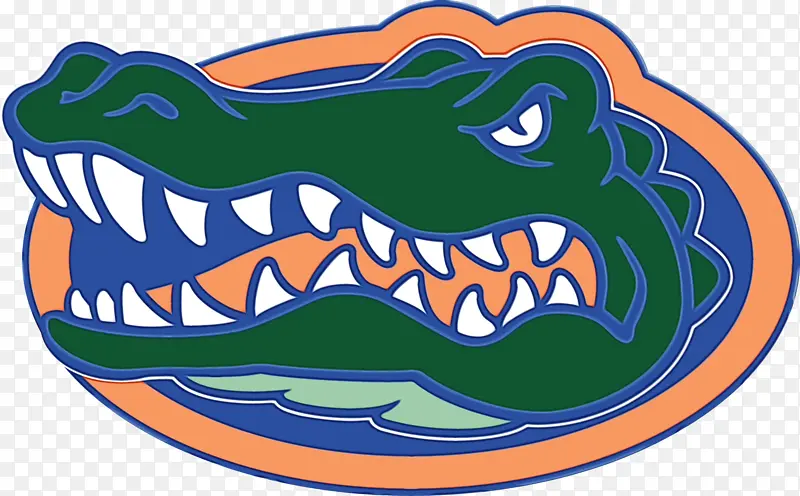 佛罗里达大学 佛罗里达短吻鳄足球队 短吻鳄队