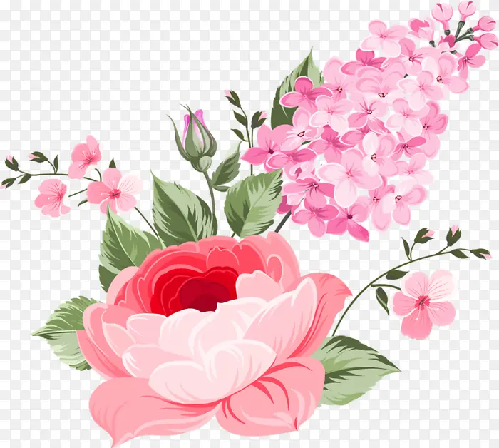 花园玫瑰 牡丹 花朵