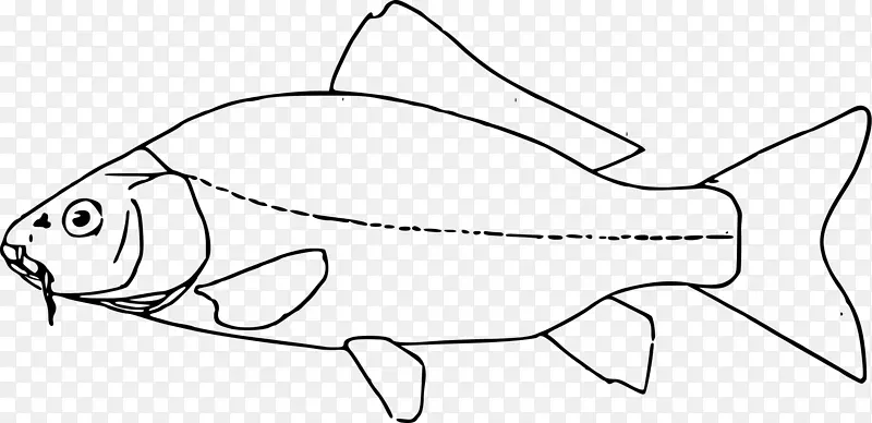 绘画 锦鲤 鱼