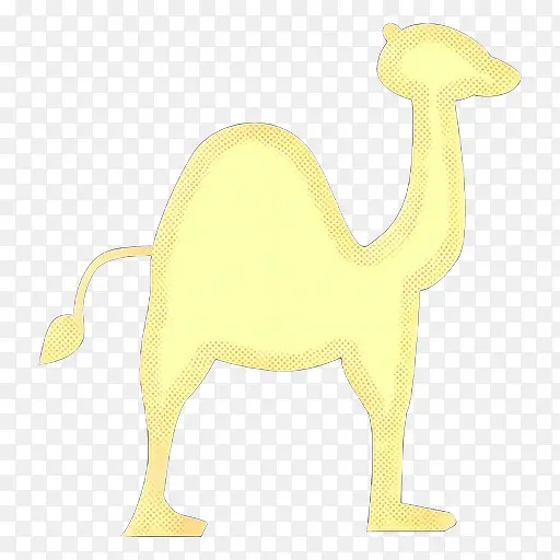 骆驼 黄色 动物