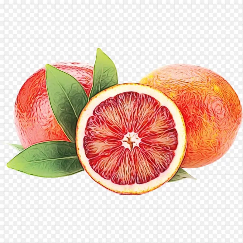 血橙 橙子 食品