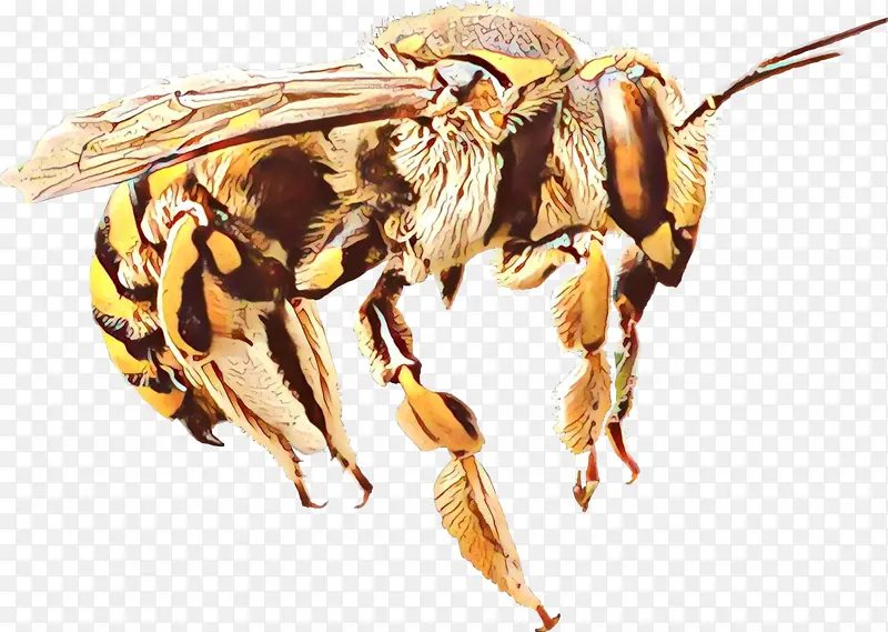 蜜蜂 大黄蜂 黄蜂