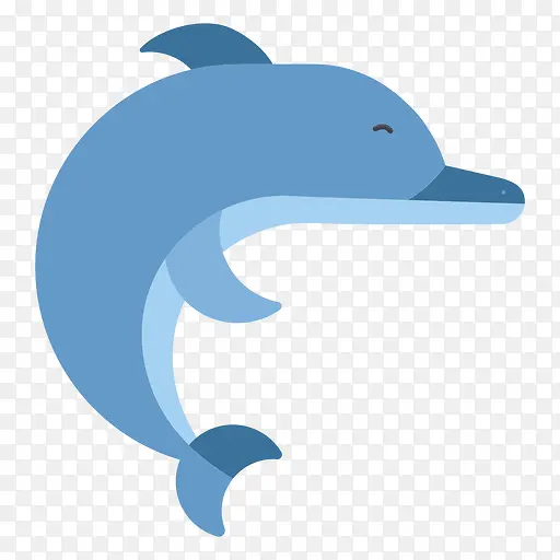 海豚 几何学 虎鲸