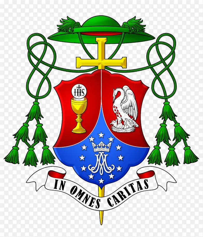 罗马天主教奥伊拉斯教区 罗马天主教南卡乔埃拉教区 教区