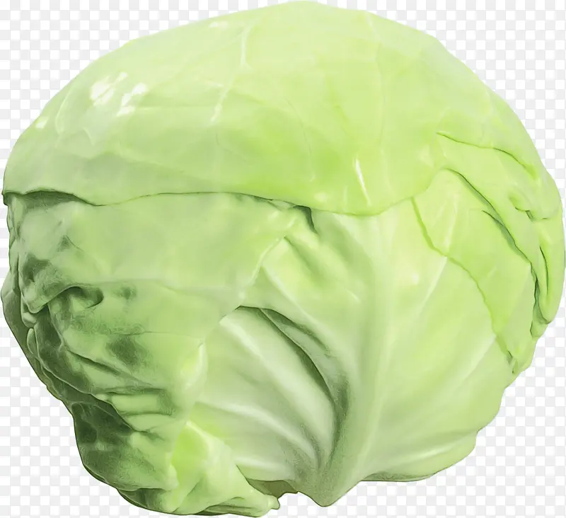 羽衣甘蓝 萨沃伊卷心菜 生菜