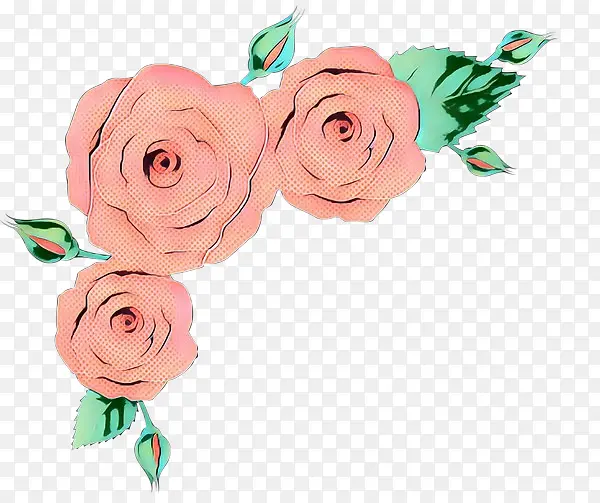 花园玫瑰 玫瑰 切花