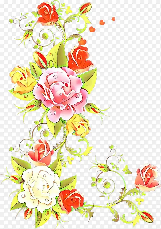 花卉设计 花园玫瑰 玫瑰