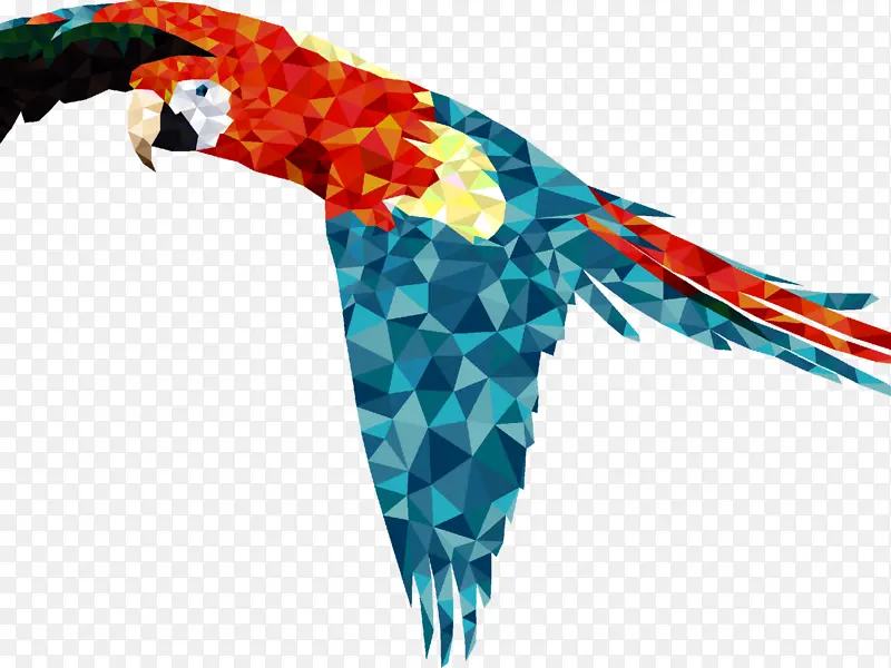 金刚鹦鹉鸟猩金刚鹦鹉蓝黄金刚鹦鹉风信子金刚鹦鹉绘画羽毛绘画宠物数码艺术动物翅膀