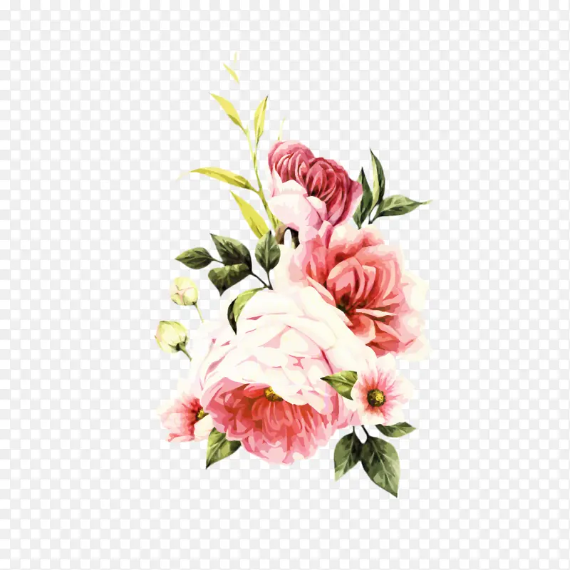 玫瑰 水彩画 花卉设计