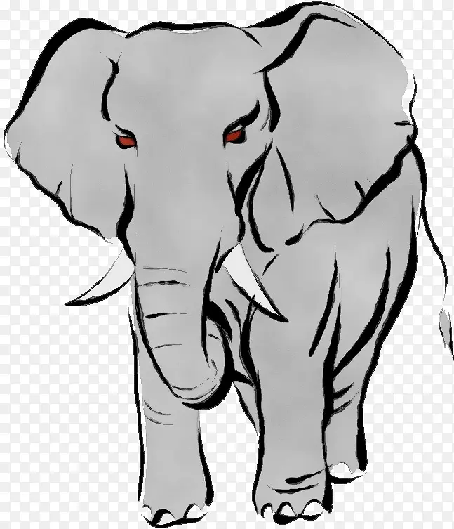 印度大象 非洲大象 牛