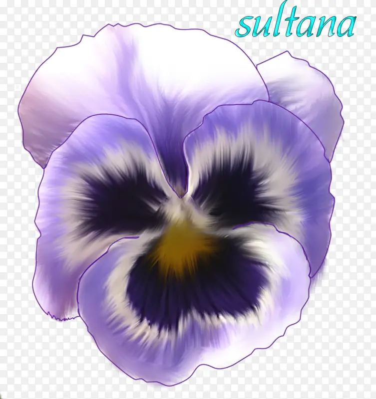 三色堇 紫罗兰 猫猫