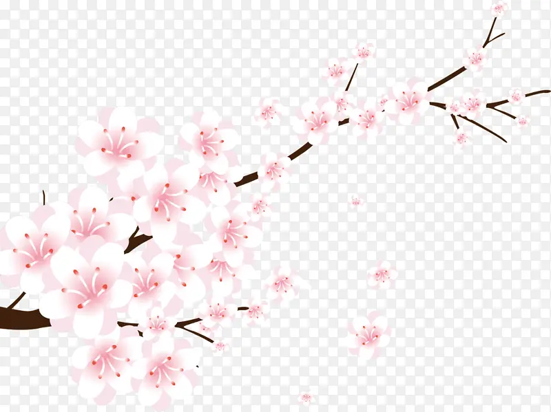 桃子 粉色 花