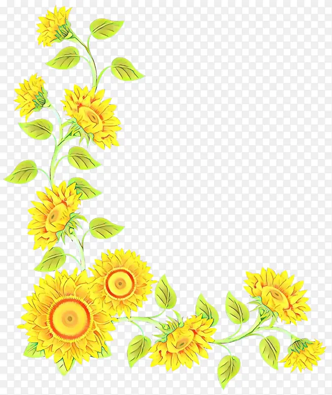 边框和框架 边框剪贴画 向日葵