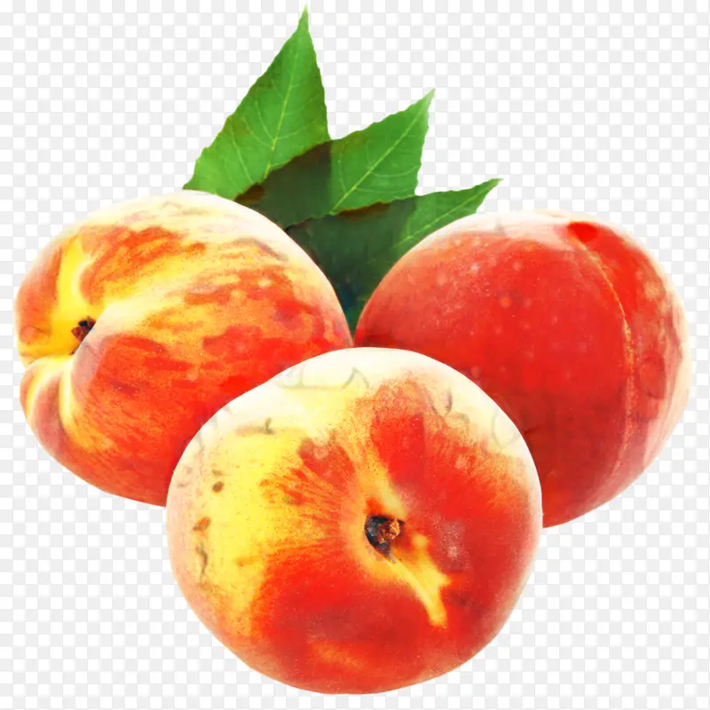 桃子 食品 油桃