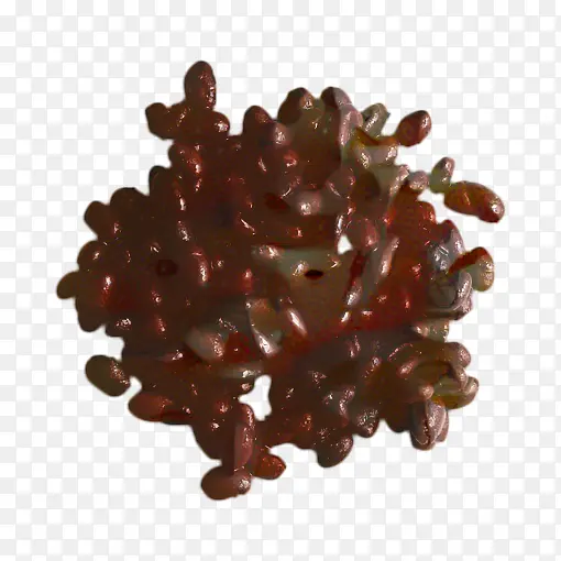 巧克力树果冻豆食物植物