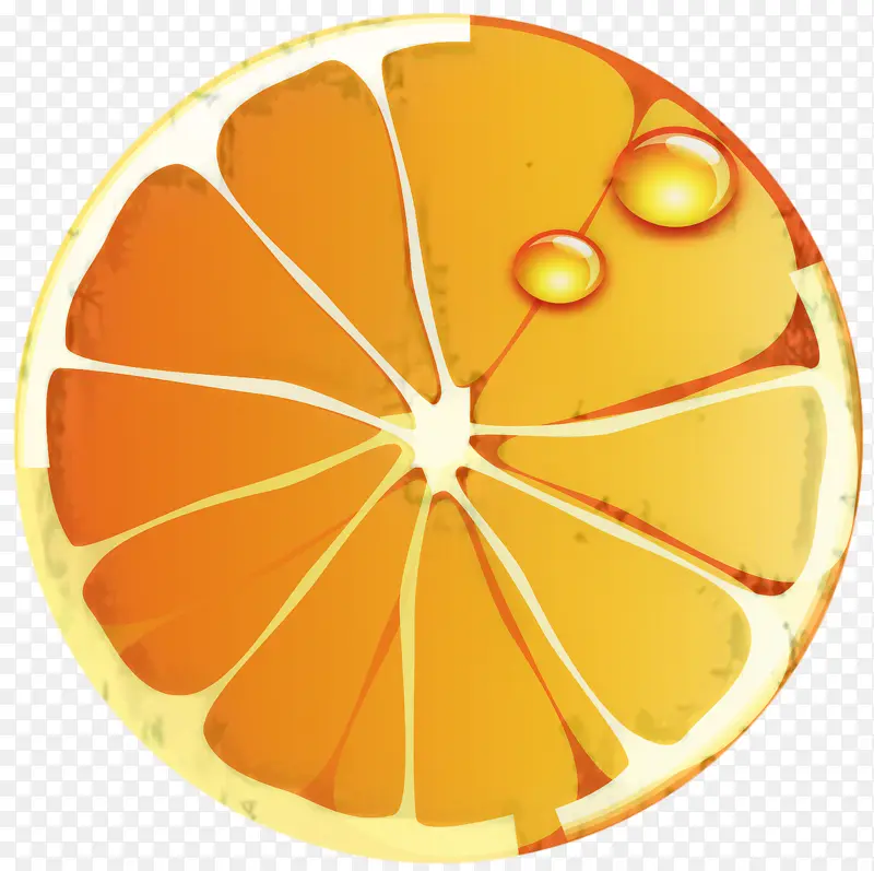 柑橘 葡萄柚 食品