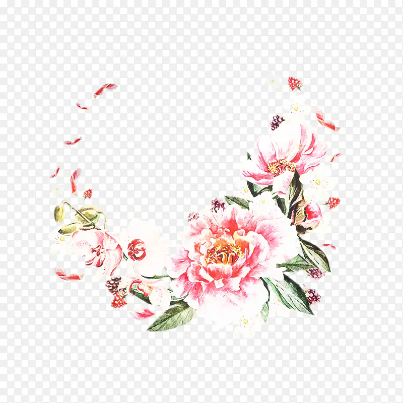牡丹 花朵 粉色花朵