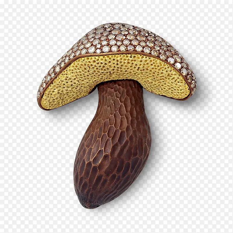 蘑菇 食用菌 珠宝