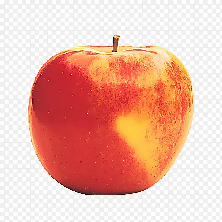麦金托什实验室 水果 苹果