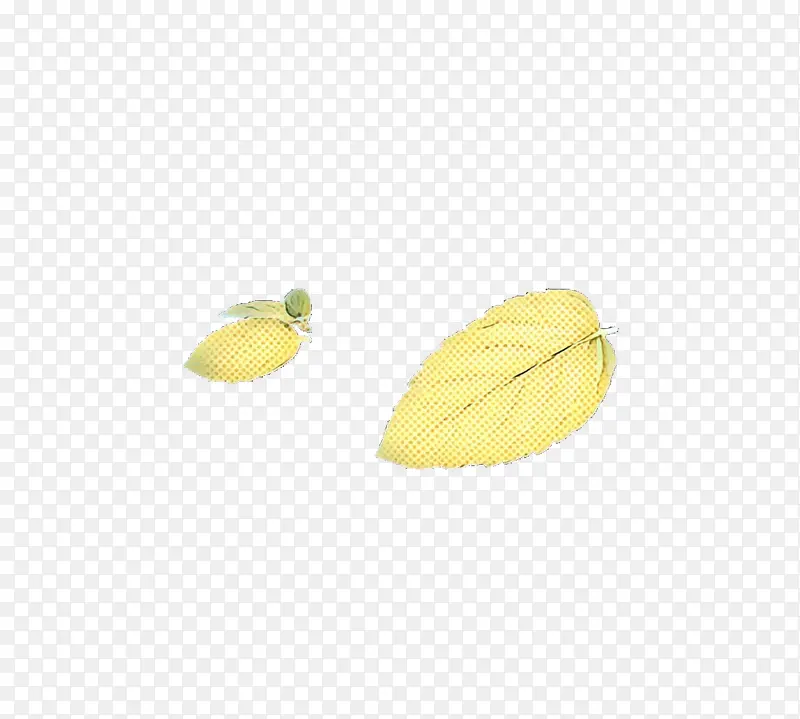 黄色 水果 叶子