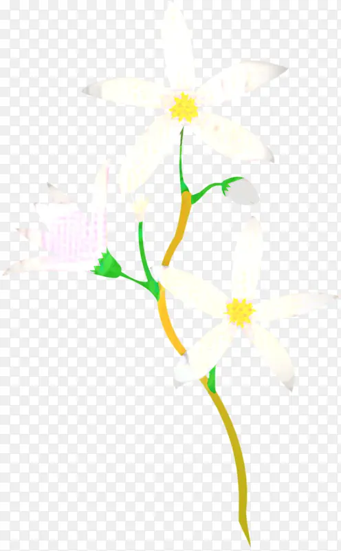 花卉设计 文本 黄色