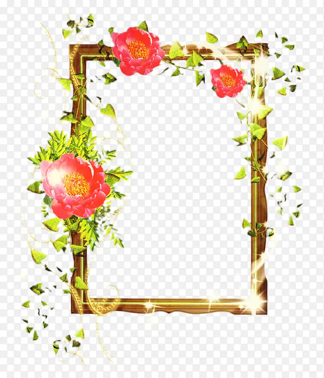 花卉设计 花园玫瑰 画框