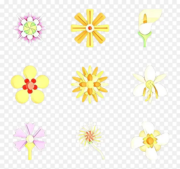 花卉设计 菊花 切花