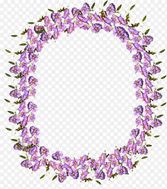 紫色 紫罗兰 薰衣草