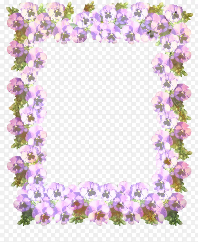 花卉设计 紫罗兰 科